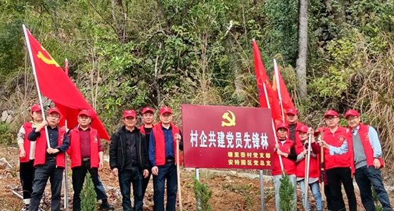 村企共建，，，，，，共植先锋林