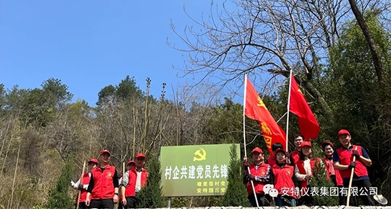 党建强引领，，，，，，共植先锋林