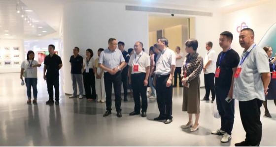 丽水市第五届人大代表景宁中心组调研yl23455永利集团